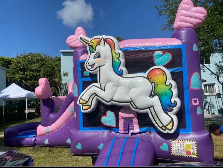 Bounce House w/ Slides